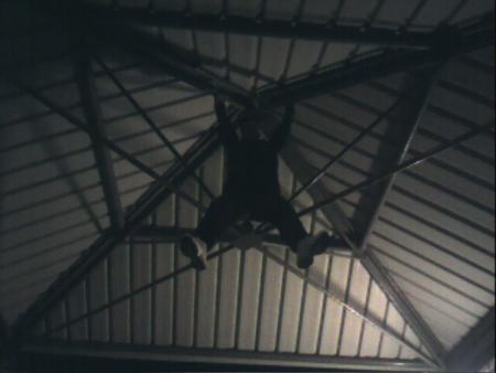 bilel le singe il est malade dans ca t�te